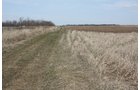 Property photo 5 - 194.67 Acres Offered in 2 Tracts